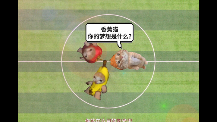 Cuộc đời của một chú mèo bình thường (Phần 2)