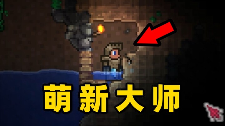 تيراريا 01: البقاء للمبتدئين، لكن المعلم يعتمد فقط على الاستدعاء