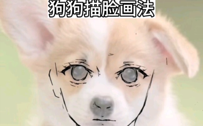 Even a puppy can draw faces—seriously, go try it!