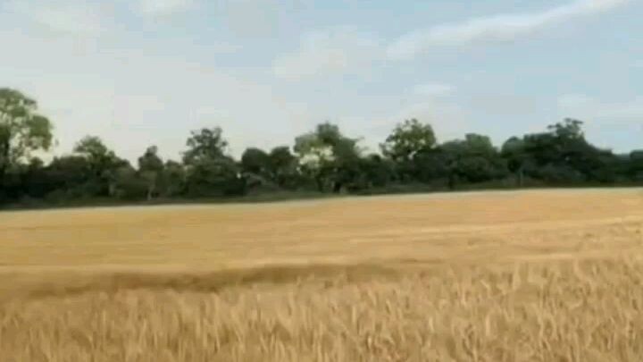 Fly away Soo Good