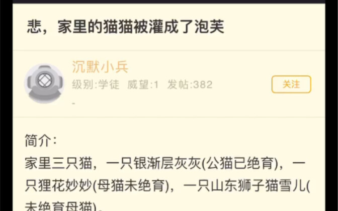 NGA乐子 悲，家里的猫猫被灌成了泡芙