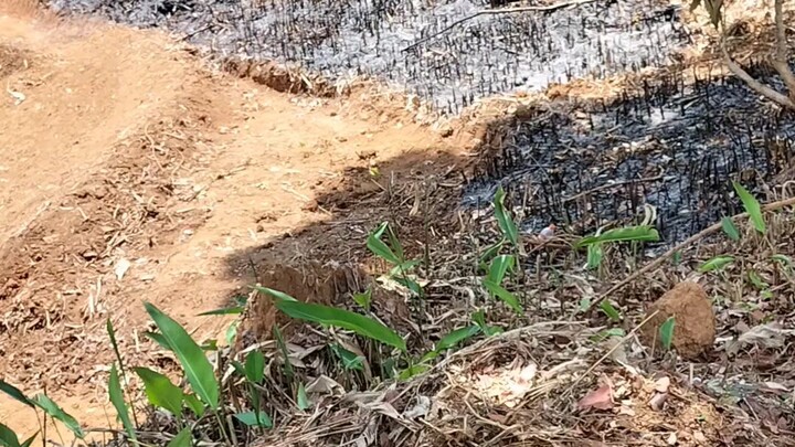 praktis daw muna kong pwedi na gamitin ung trial.. coming soon po .. temberland bike 🚲 trial..