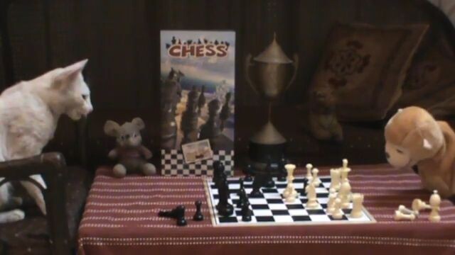 Cat vs Monkey (Chess)