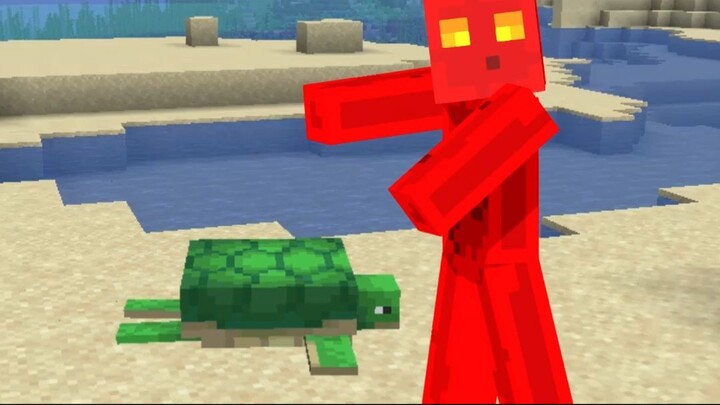 Turtle Shell