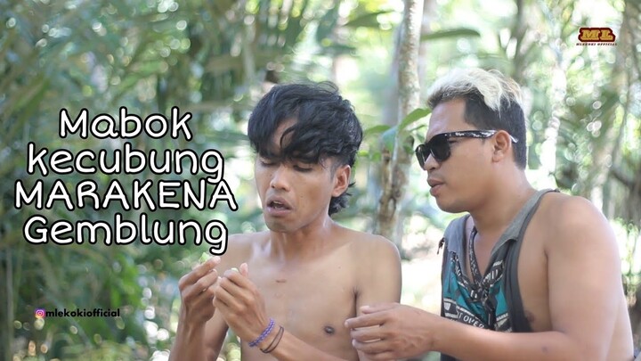KURIR MABOK KECUBUNG # MLEKOKI