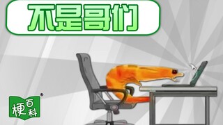 【梗百科】不是哥们是啥梗？此梗已升华为抽象艺术系列？！
