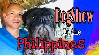 Dogshow in the Philippines/Philippine Canine Club Inc and Affiliated Club Dogshow