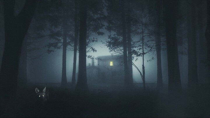 Watch Shelby Oaks Full Movie 2025 HD - onoflix.ru