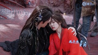 【白鹿】白月梵星预约破200万啦