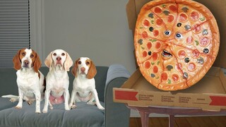 Dogs vs Talking Pizza Prank สุนัขตลก Maymo Potpie & Puppy Indie Pranked โดย Talking Pizza