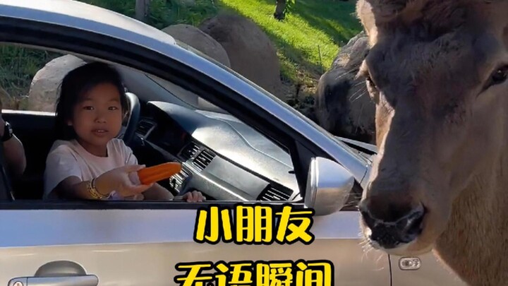 A Roundup of Kids’ Hilarious and Awkward Moments