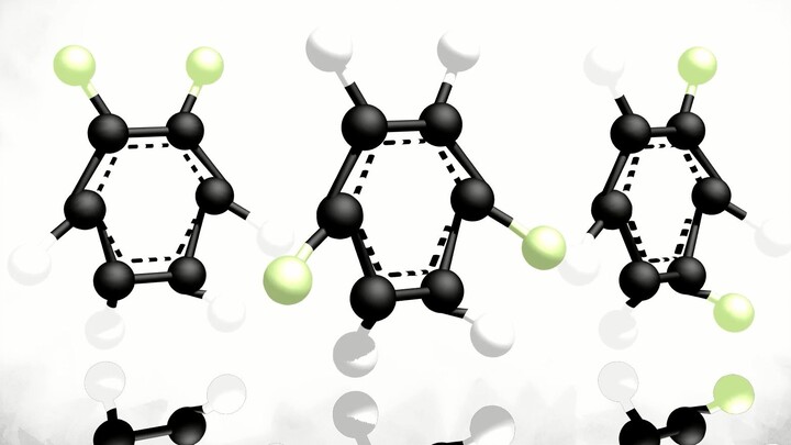 Shadow Flow Dichlorobenzene