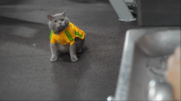 Pet Peeves - Gym