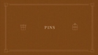 07. Pins