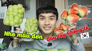 DÂU TÂY HÀN QUỐC và NHO MẪU ĐƠN đỉnh của chóp | Vừa ăn vừa tám