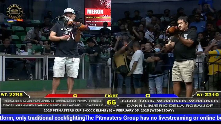 Fight 66