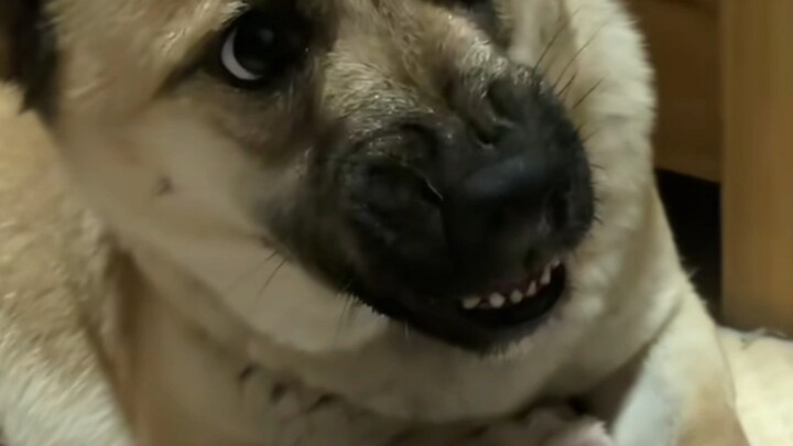 So this is what physiological disgust feels like.