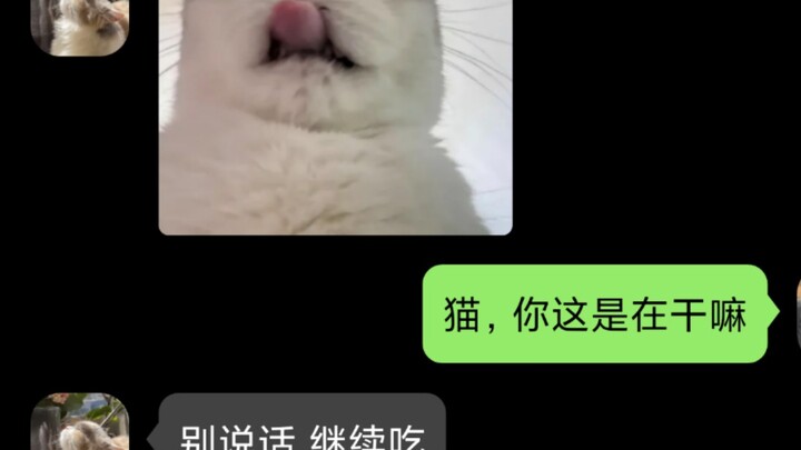 Setelah Kucing Kesayanganmu Jadi Siluman (5)