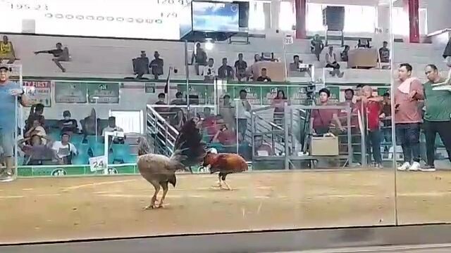 Dalusap winner sa 2 hits versus binabae  nahiwa me tari kapiraso