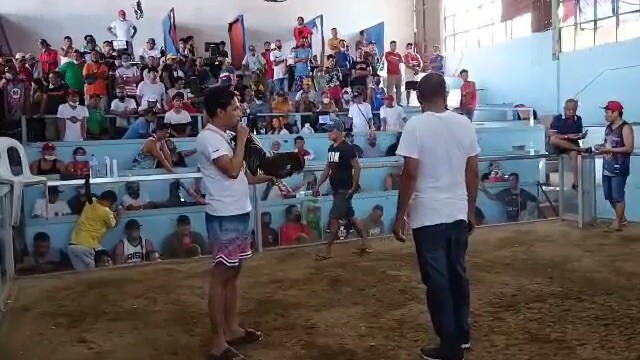 Hack fight at Gma cavite