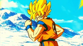 goku vs broly