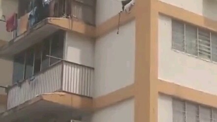 A stray cat falls from the thirteenth floor