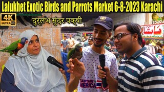Lalukhet Exotic Birds Parrots Hen and Rooster Market 6-8-23 Karachi