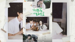 [Sub Indo] Brilliant Like Fireworks | Li Ke Yi, Yu Yin, Zhang Chi, Wang Yi Lei | Short Drama China