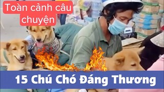 🔴 NÓNG: Toàn Cảnh Vụ 15 Chú Chó Bị Thiêu Hủy | Sự Thật Đằng Sau Như Thế Nào?