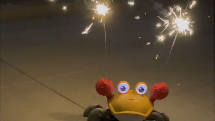 Chú cua nhỏ của tôi đón Tết pháo hoa rồi