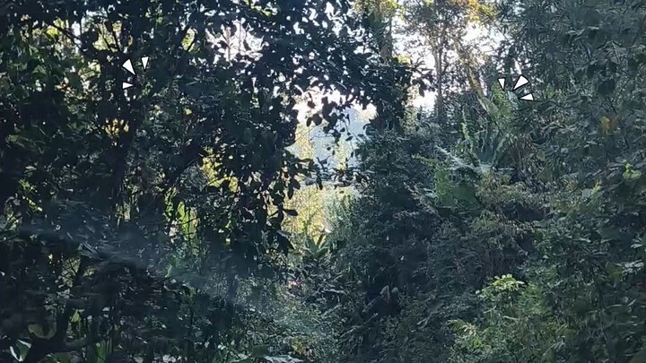 เข้าสู่หน้าแล้ง ที่ตลอดเส้นทางเต็มไปด้วยฝุ่น จากโคลนลื่นๆเปลี่ยนเป็นดินแห้งๆ บางช่วงมองทางแทบไม่เห็น