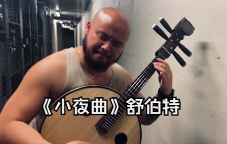 《小夜曲》舒伯特  中阮+吉他