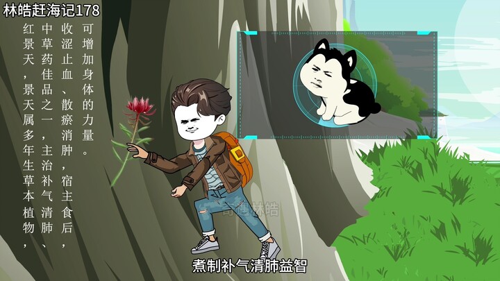 第178集