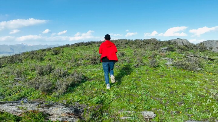 The World’s Highest City [Zelda: Breath of the Wild Opening], A Classic Reimagined!