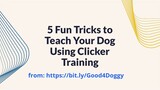 5 Fun Tricks to Teach Your Dog Using Clicker Training – Easy and Fun!