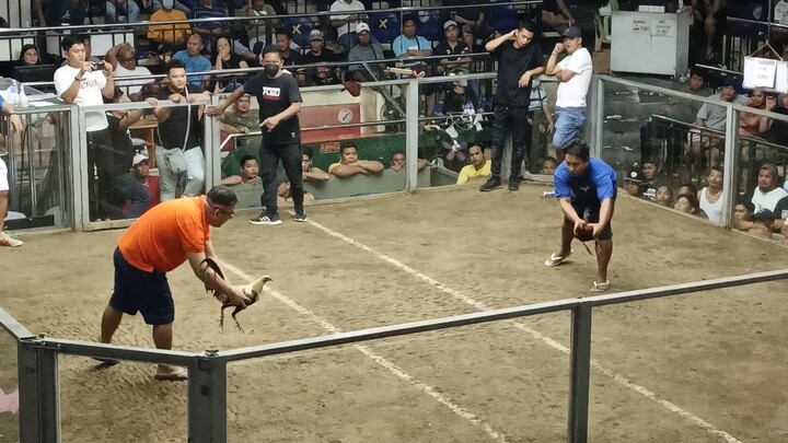 Battle of tiktokers 3rd fyt 3cock derby both Championship fyt.