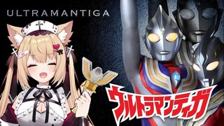 【九分钟看猫猫】猫猫也要变成光！！！
