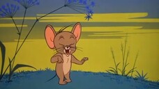 Tom and Jerry duel personality episode 143