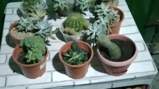 Mga baby ko