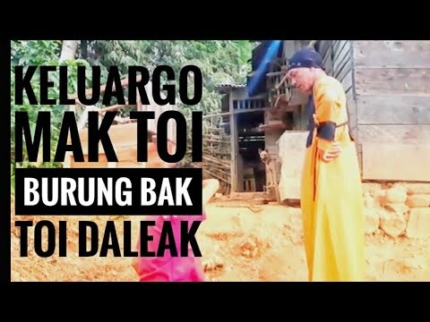 Burung tiak to'i daleak #episode 13