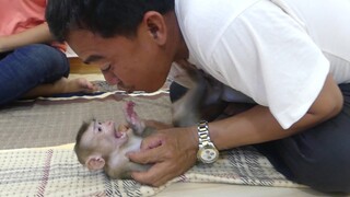 Very funny Moments When the Little Monkey Maku Play With Dad | Maki Like Play With Dad