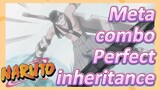 Meta combo Perfect inheritance