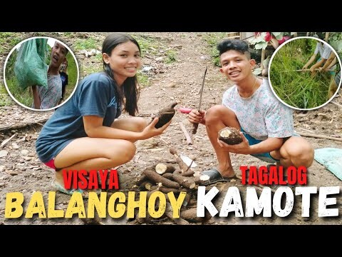 NANGUWA KAME NANG BALANGHOY (SA TAGALOG KAMOTENG KAHOY)
