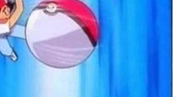 Let's have a fair Pokémon battle!