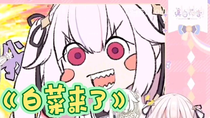 【Mashiro Kaon】ผลงานชิ้นที่สองของ Loli Kanfeiba จากญี่ปุ่น "Here Comes the Cabbage"