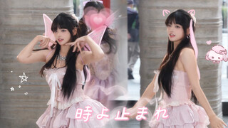 【illit】Attention please ⸝⸝>ヮ<⸝⸝ Making an appearance as an irresistibly cute flower fairy | Toki Yo 