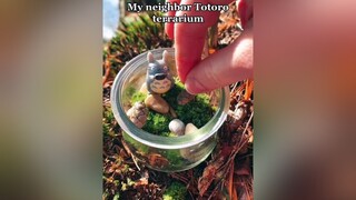 My Neighbor￼ Totoro terrarium￼🌱🌰🥺anime Terrarium￼ studioghibli totoro myneighbortotoro fyp forupage