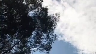 Ketika Di Suruh Bagi Makanan Sama Saudara..