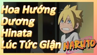 Hoa Hướng Dương Hinata Lúc Tức Giận