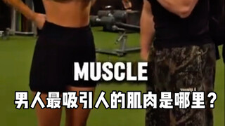 What is the most attractive muscle on a man?